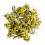   B, Sideritis